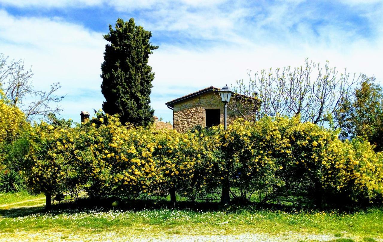 La Cana Dolce Bertinoro Exterior photo